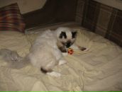 Фотография Никаноровой Катерины