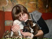 Дарья Таран фотография #47 (источник - https://vk.com/id587219)