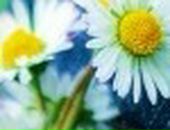 Ілона Лебеденко фотография #5 (источник - https://vk.com/id56674792)