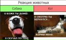 Юля Давиденко фотография #26 (источник - https://vk.com/id15642257)