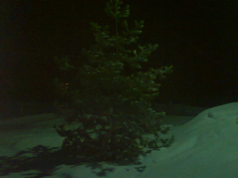 Дмитрий Халимов фотография #29