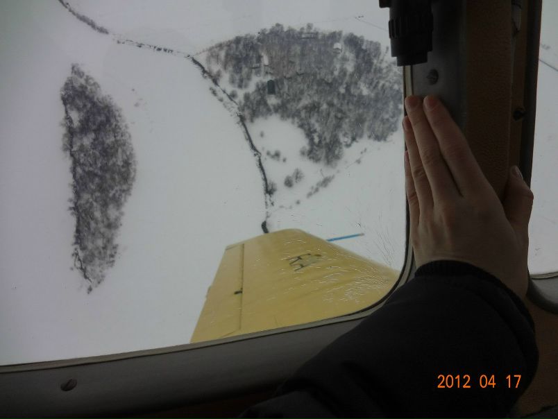 Виктор Ларин фото №37