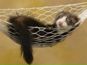 Фотография Михайлова Ивана