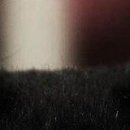 Viki @@@@@@@@@ фотография #33 (источник - https://vk.com/id141663195)