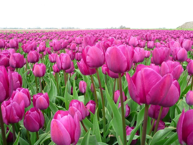 Ильдар Тарамов фотография #30