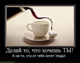 Вєталь Мельник фотография #50 (источник - https://vk.com/id17579926)