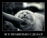 Фотография Сударева Николая