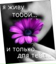 Андрій Шуть фотография #37 (источник - https://vk.com/id146622253)