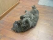 Фотография Мерзликиной Людмилы