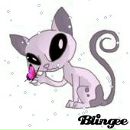 Фотография Дорохин Владимир