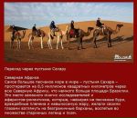 Антон Шадрин фотография #31 (источник - https://vk.com/id1088974)