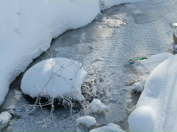 Veronica Yan фото №46
