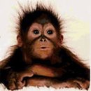 Оксана Квасніцька фотография #12 (источник - https://vk.com/id140236761)