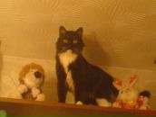 Фотография Шиловой Анны