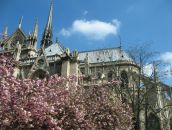 Deleted Deleted фотография #6 (источник - https://vk.com/id2313249)