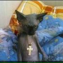 Фотография Хлоповой Ксюши