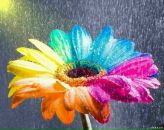 Фотография Журавлевой Стю