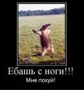 Фотография Манухина Владислава