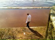 Фотография Ломанова Дмитрия