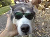 Юра Машіко фотография #39 (источник - https://vk.com/id64588558)