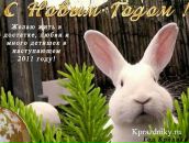 Фотография Тимофеева Дёниса