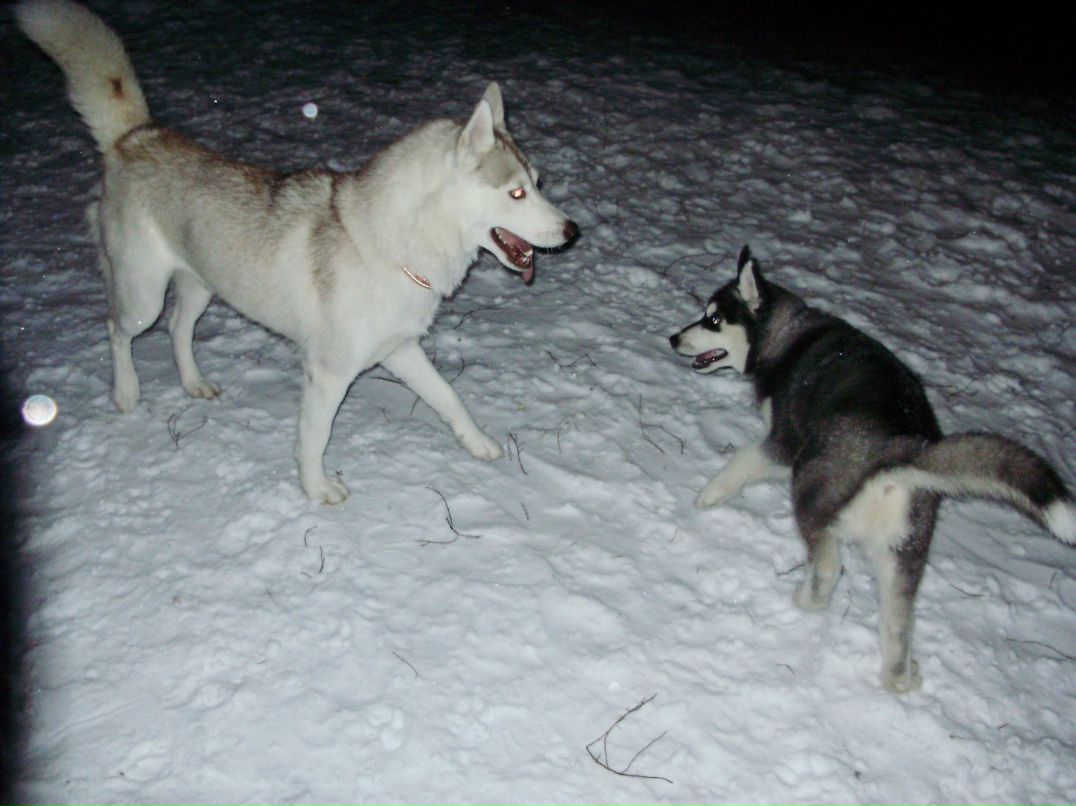 Дмитрий Тепляков фотография #28