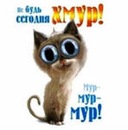 Фотография Железцова Влада