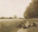  фотография #50