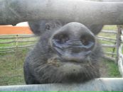 Діанка Кузьменок фотография #28 (источник - https://vk.com/id15128359)