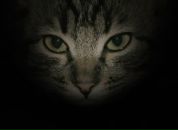 Иван Ионов фотография #30 (источник - https://vk.com/id1086838)