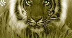 Фотография Ского Станислава