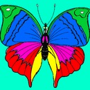 Назар Пиріг фотография #38 (источник - https://vk.com/id77470697)