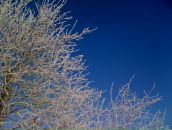 Анна Олейник фотография #11 (источник - https://vk.com/id10204738)