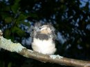 Михаил Орлов фотография #46 (источник - https://vk.com/id1806045)