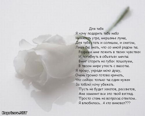  фото №2