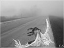 Τатьяна Κнязева фотография #45 (источник - https://vk.com/id9820110)