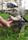 sergej K... фотография #1