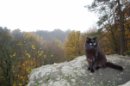 Анатолій Туровський фотография #37 (источник - https://vk.com/id3550993)