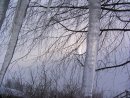 Игорь Солкин фотография #14 (источник - https://vk.com/id19484203)