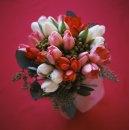 Alex Evans фотография #1