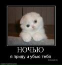 Діма Варадi фотография #33 (источник - https://vk.com/id134159437)