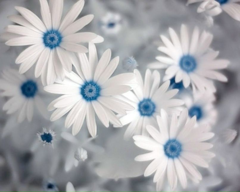 Валера Simply фотография #41