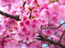 Фотография Кощеевой Лилии