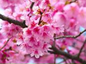 Фотография Андреевой Ани
