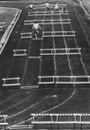Марія Капанюк фотография #21 (источник - https://vk.com/id62086550)
