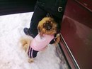 Мар'яна Гусєва фотография #3 (источник - https://vk.com/id156871359)