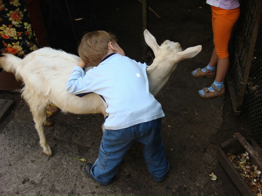 Софья Борушкина фотография #35