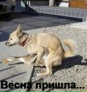 Фотография Сергеева Бориса