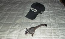 Даниил Мосалков фотография #45 (источник - https://vk.com/id299196)