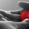 Дєня Гришутін фотография #8 (источник - https://vk.com/id138221893)